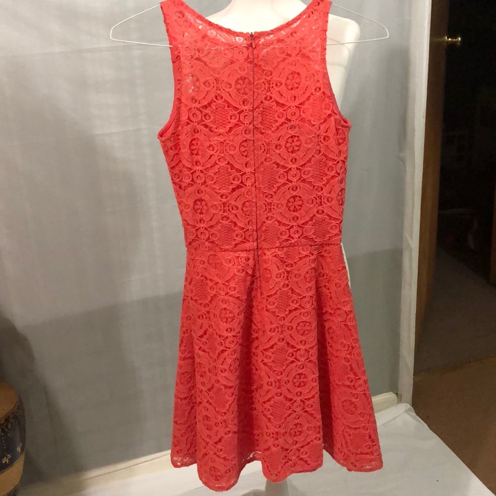 Spring/Summer - Picture 3 of 3